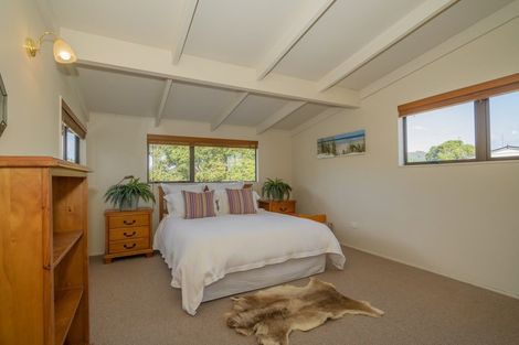 Photo of property in 62 Oyster Drive, Cooks Beach, Whitianga, 3591