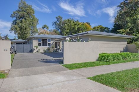 Photo of property in 66 Macarthur Street, Levin, 5510