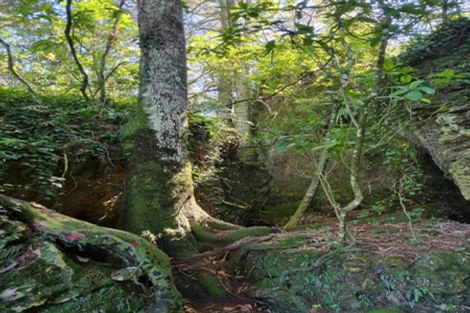 Photo of property in 584b State Highway 3, Waitomo, Te Kuiti, 3977