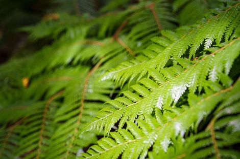 Photo of property in 30 Ruru Avenue, Saint Leonards, Dunedin, 9022