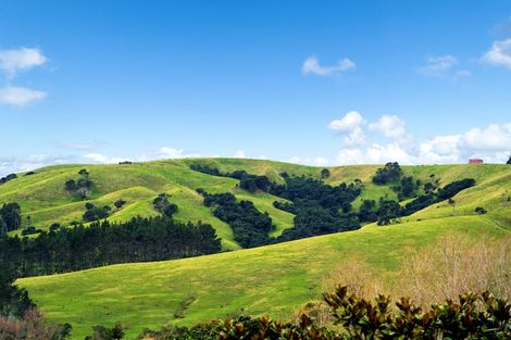 Photo of property in 17 Rauta Way, Helensville, 0800