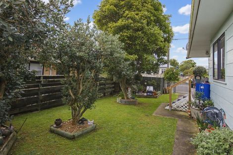 Photo of property in 13 Douglas Street, Levin, 5510