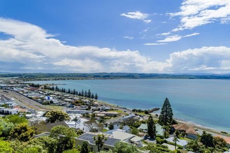 Photo of property in 159 Thompson Road, Bluff Hill, Napier, 4110