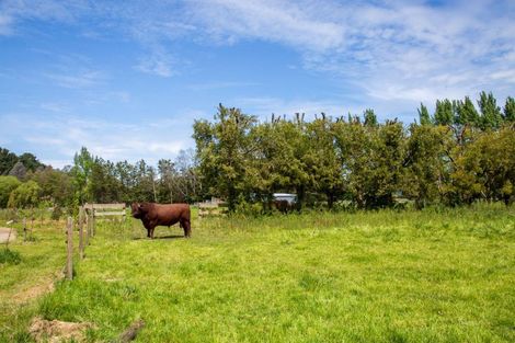 Photo of property in 412 Fabians Road, Morison Bush, Greytown, 5794