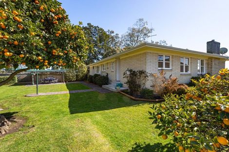 Photo of property in 17 Filmer Place, Melville, Hamilton, 3206