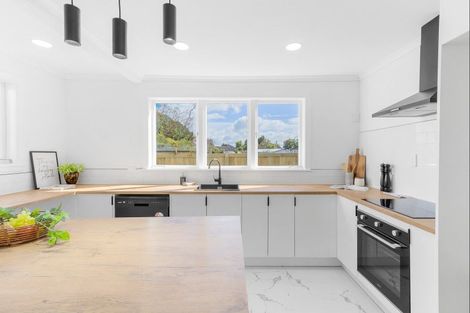 Photo of property in 57a Marshall Street, Fairfield, Hamilton, 3214