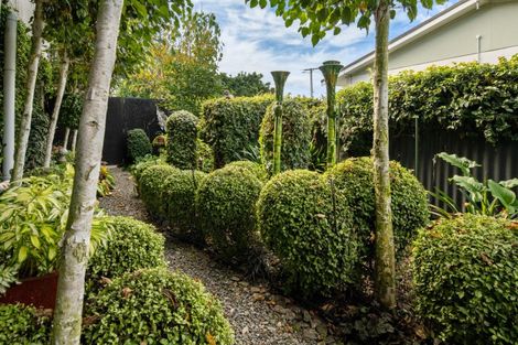 Photo of property in 11 White Street, Blenheim, 7201