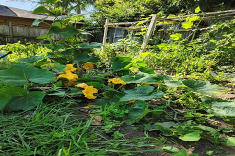 Photo of property in 55 Williamson Avenue, Belmont, Auckland, 0622