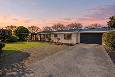 Photo of property in 12d Taylor Street, Cambridge, 3434