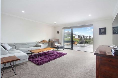 Photo of property in 384 Mckenzie Road, Waiau Pa, Pukekohe, 2679