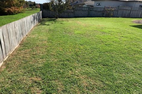 Photo of property in 81 Solomon Street, Brookfield, Tauranga, 3110