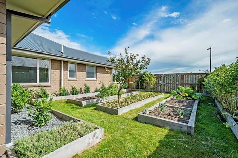 Photo of property in 79 Clausen Avenue, Leeston, 7632