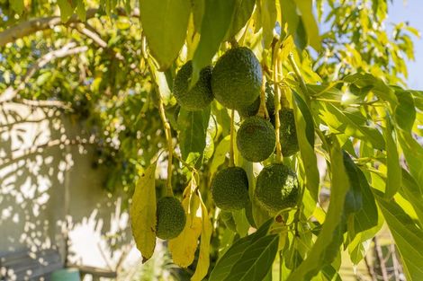 Photo of property in 21 Endeavour Close, Whitianga, 3510