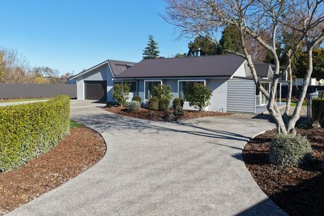 Photo of property in 172 Thorp Street, Motueka, 7120