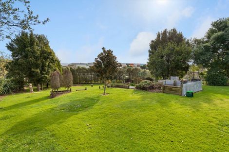 Photo of property in 63-69 Conway Road, Paengaroa, Te Puke, 3189