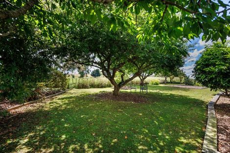 Photo of property in 6 Griffins Road, Marton, 4788