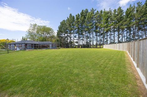 Photo of property in 20 Rayner Lane, Marton, 4710