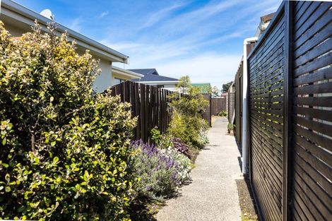Photo of property in 55b Council Street, Saint Kilda, Dunedin, 9012