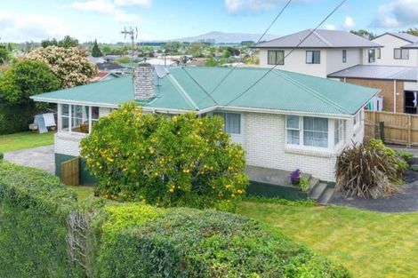 Photo of property in 111 Mahoe Street, Melville, Hamilton, 3206