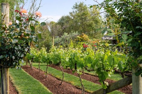 Photo of property in 33 Haswell Place, Huntington, Hamilton, 3210