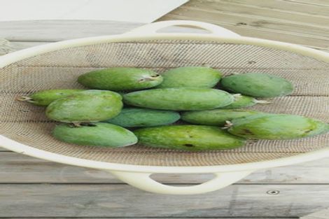 Photo of property in 198 Marsden Point Road, Ruakaka, 0116