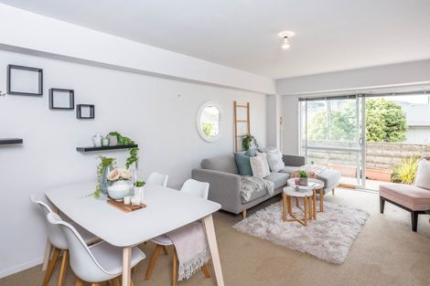 Photo of property in 8b Finlay Terrace, Mount Cook, Wellington, 6021