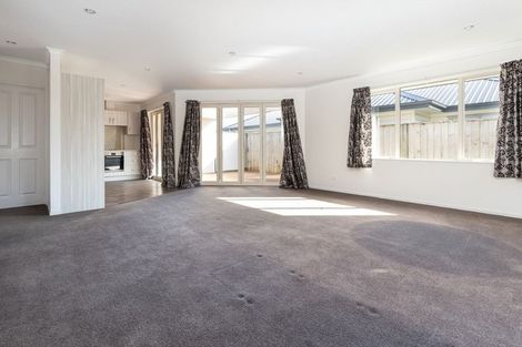 Photo of property in 45a Warwick Street, Mayfield, Blenheim, 7201