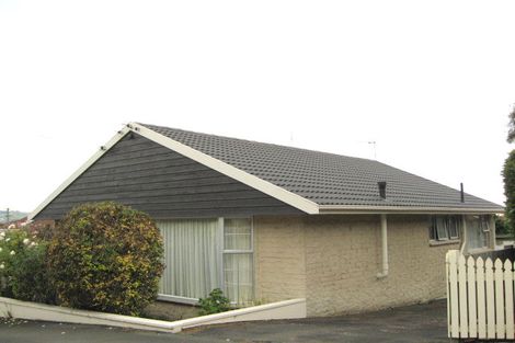 Photo of property in 11a Motu Street, Saint Clair, Dunedin, 9012