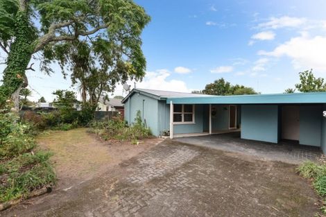 Photo of property in 137 Hukanui Road, Chartwell, Hamilton, 3210