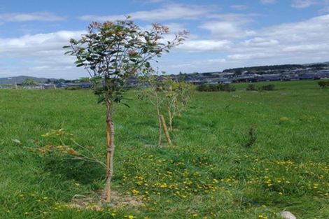 Photo of property in 109 Vinegar Hill Road, Kauri, Kamo, 0185