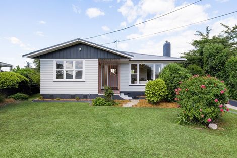 Photo of property in 6 Carlyle Avenue, Chartwell, Hamilton, 3210