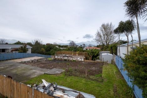 Photo of property in 43 Seyton Street, Stratford, 4332