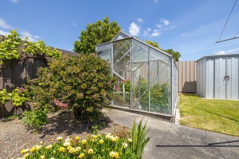 Photo of property in 17 Kiwi Street, Masterton, 5810