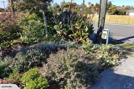 Photo of property in 1a Mahupuku Street, Greytown, 5712