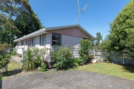 Photo of property in 45 Alison Street, Hamilton Lake, Hamilton, 3204