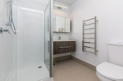 Photo of property in 30 Tahuhu Road, Mount Wellington, Auckland, 1062