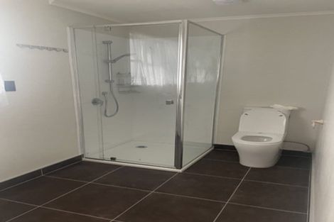 Photo of property in 12 Connolly Avenue, Mount Roskill, Auckland, 1041