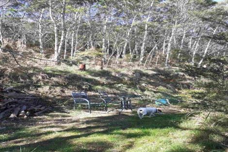 Photo of property in 55 Erua Road, Ostend, Waiheke Island, 1081