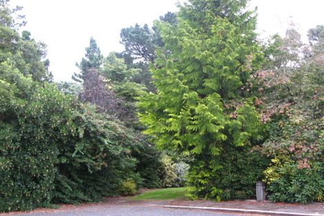 Photo of property in 8 Fry Street, Fairfield, Dunedin, 9018