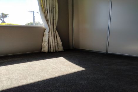 Photo of property in 12 Ashworth Street, Alexandra, 9320