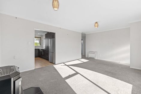 Photo of property in 147 Weld Street, Redwoodtown, Blenheim, 7201