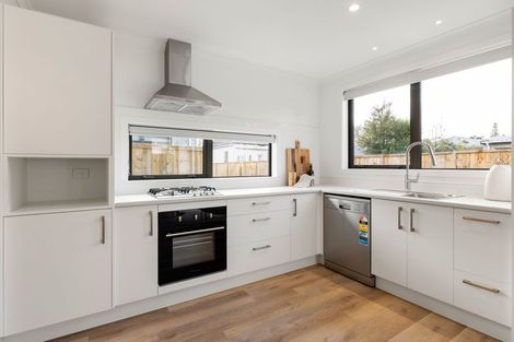 Photo of property in 73b Norton Road, Frankton, Hamilton, 3204