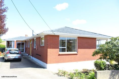Photo of property in 59a Sunbury Street, Andersons Bay, Dunedin, 9013