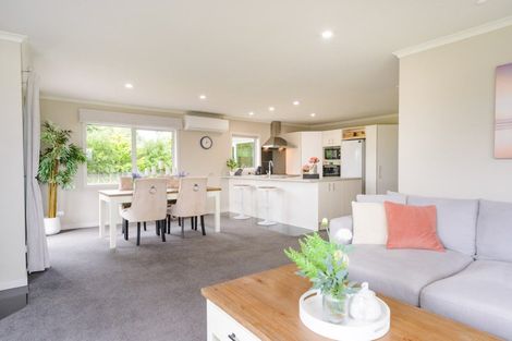 Photo of property in 12 Wapiti Avenue, Feilding, 4775