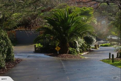 Photo of property in 4 Alexander Court, Pukekohe, 2120