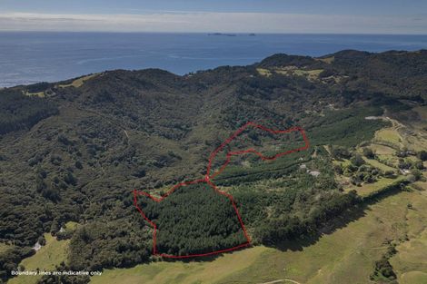 Photo of property in 425d Boat Harbour Road, Whenuakite, Whitianga, 3591