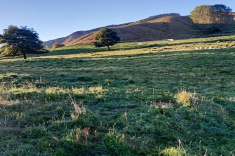 Photo of property in 1839 Tiniroto Road, Waerengaokuri, Manutuke, 4072