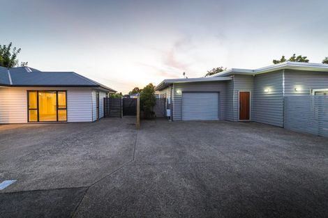 Photo of property in 65a Weston Avenue, Roslyn, Palmerston North, 4414