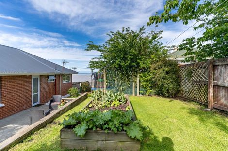 Photo of property in 179 Highcliff Road, Shiel Hill, Dunedin, 9013