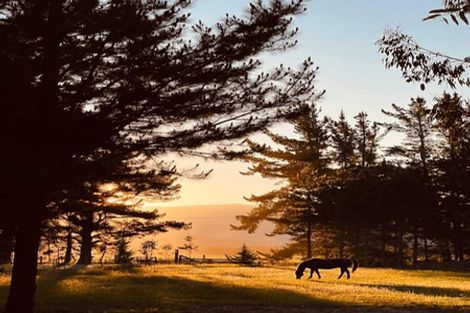 Photo of property in 65 Butterfield Road, Hawea Flat, 9382